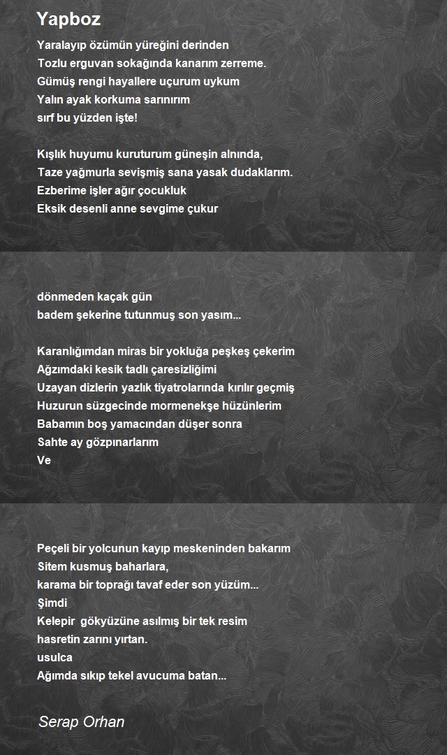Serap Orhan