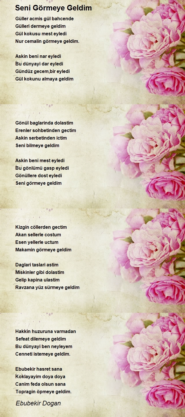 Ebubekir Dogan