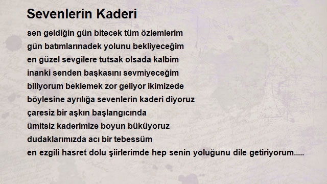 Mehmet Taş İnegöl