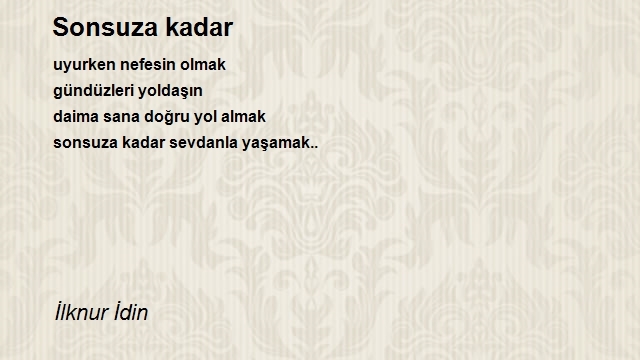 İlknur İdin