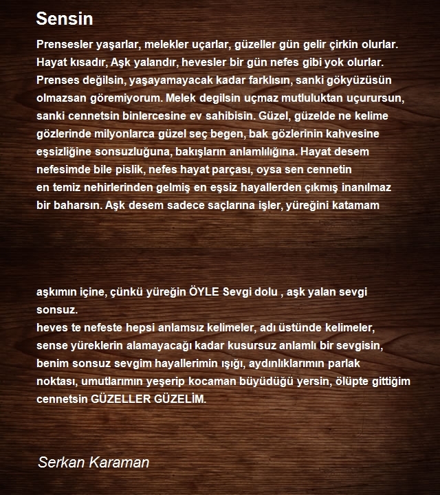 Serkan Karaman