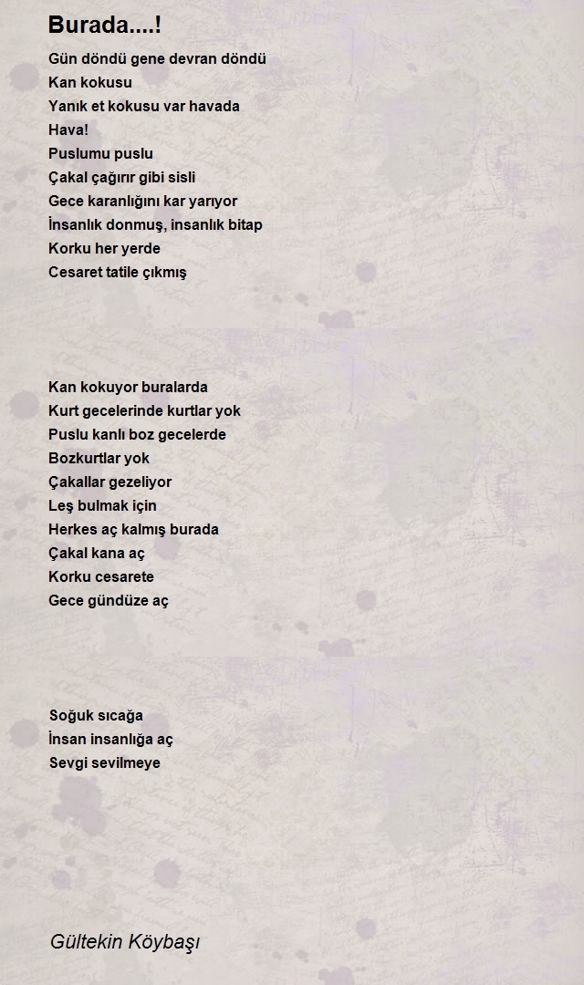 Gültekin Köybaşı