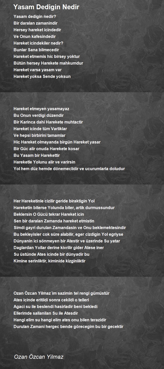 Ozan Özcan Yilmaz