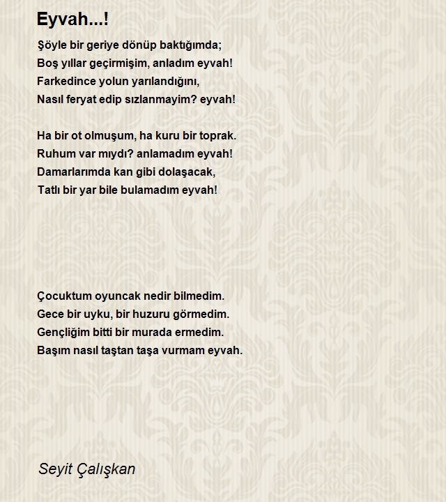 Seyit Çalışkan
