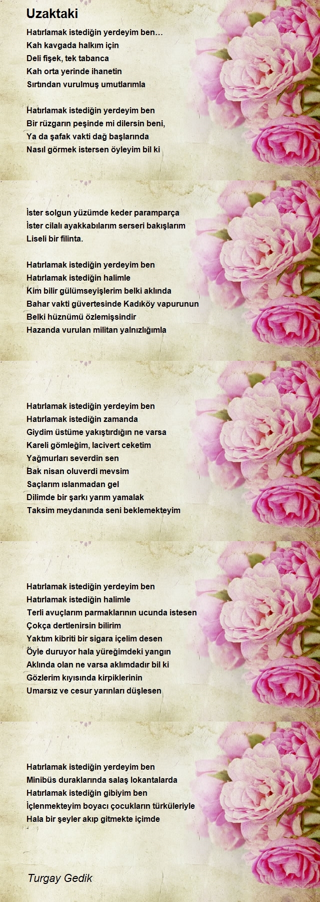 Turgay Gedik