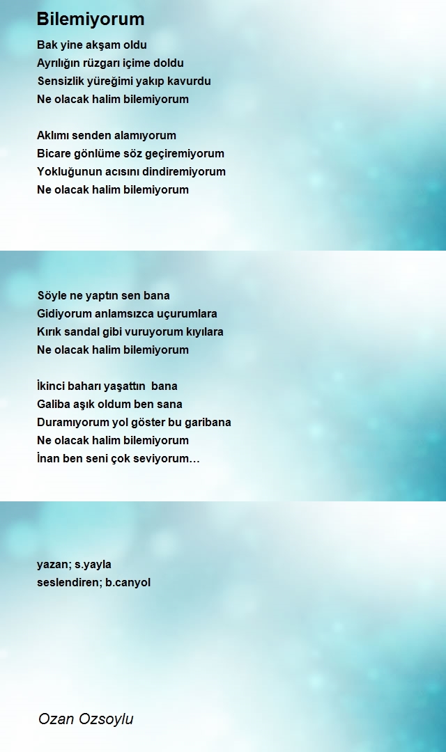 Ozan Ozsoylu