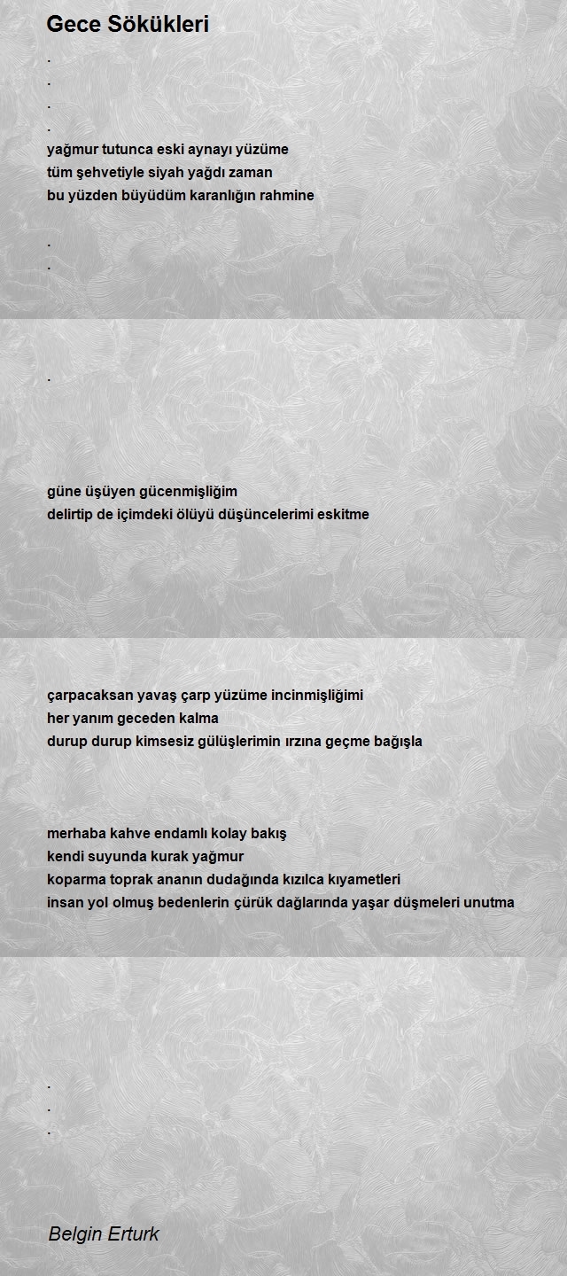Belgin Erturk