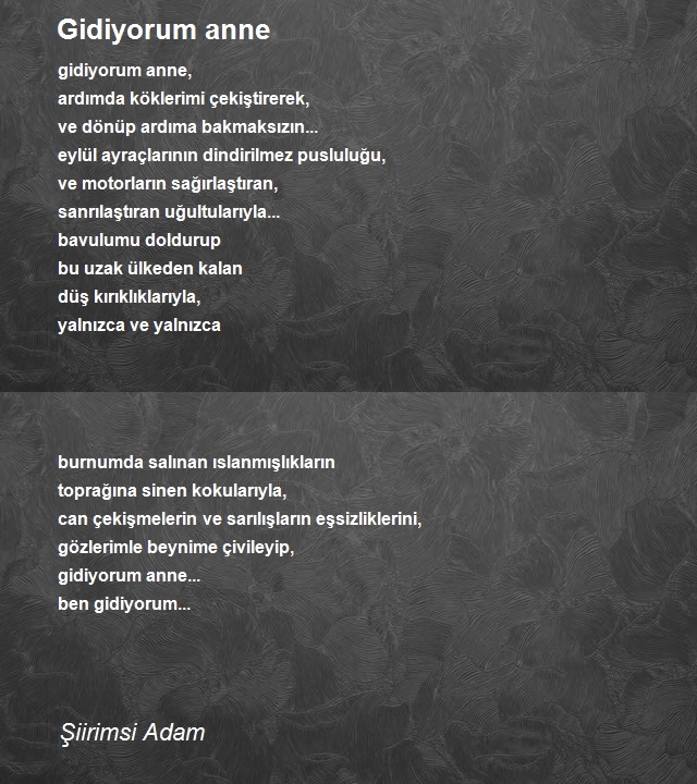 Şiirimsi Adam