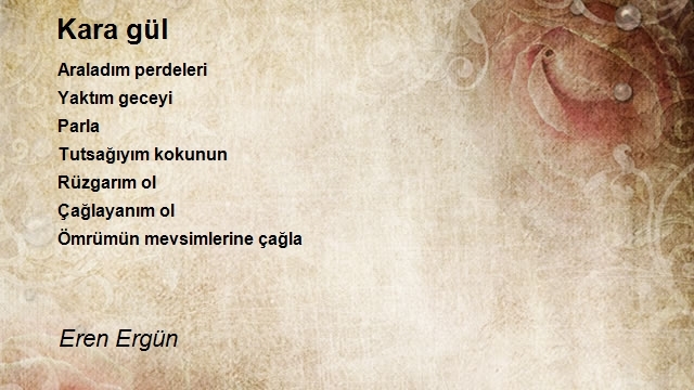 Eren Ergün