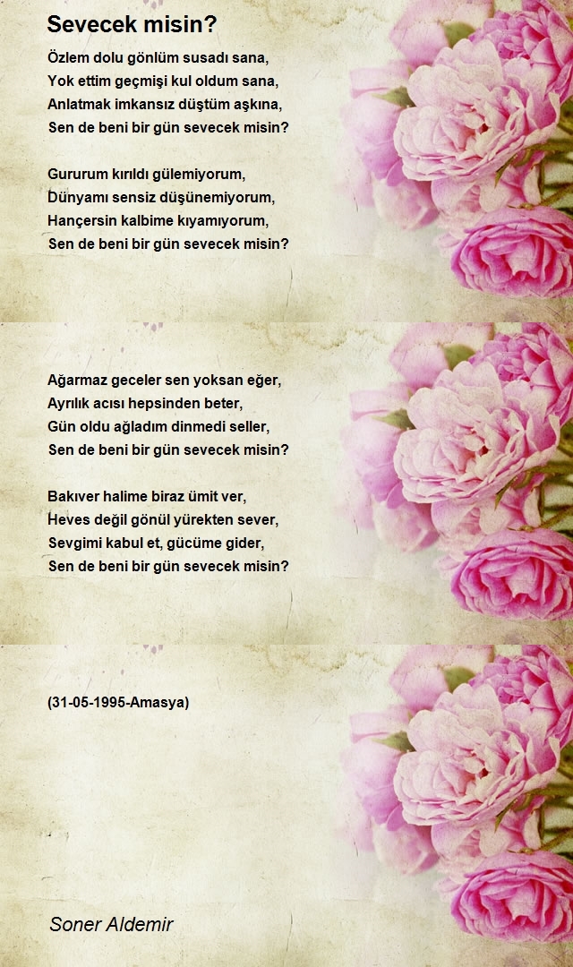 Soner Aldemir