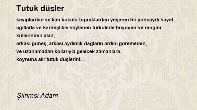 Şiirimsi Adam