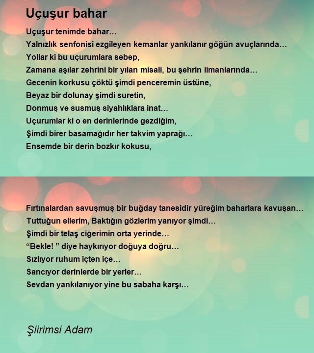 Şiirimsi Adam