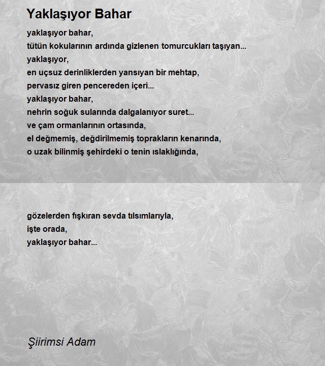 Şiirimsi Adam