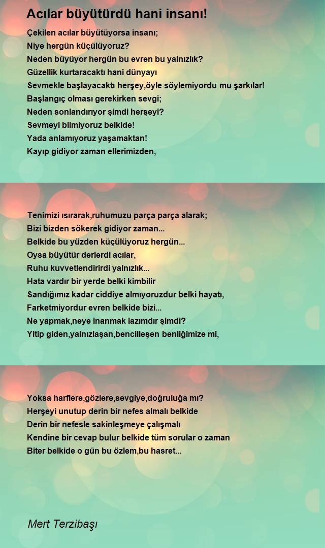 Mert Terzibaşı