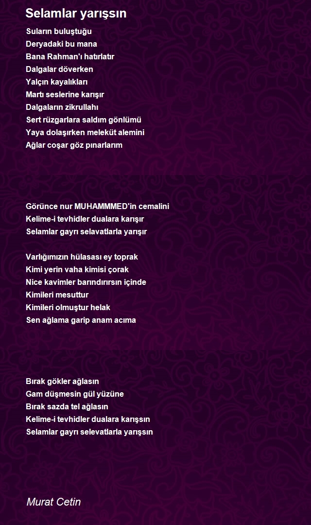Murat Cetin