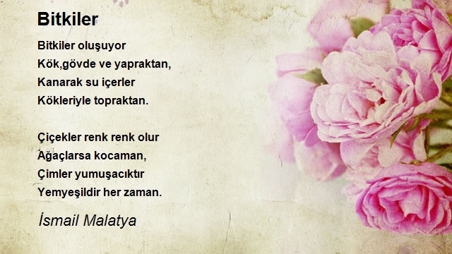İsmail Malatya