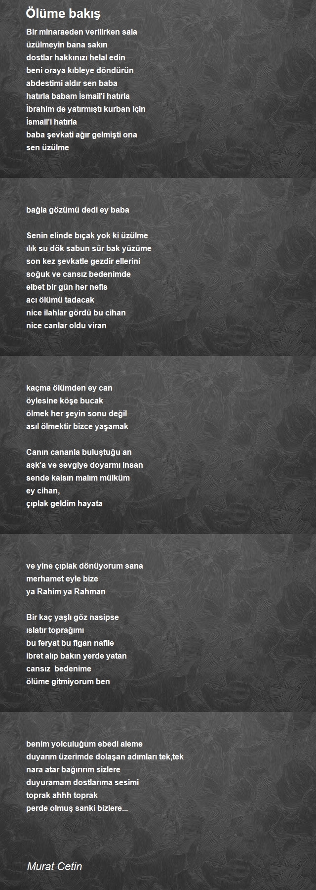 Murat Cetin