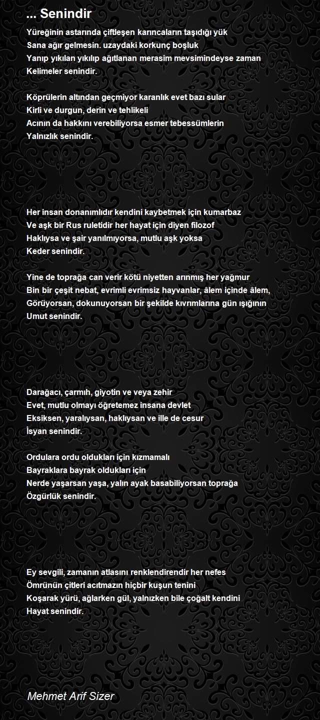 Mehmet Arif Sizer