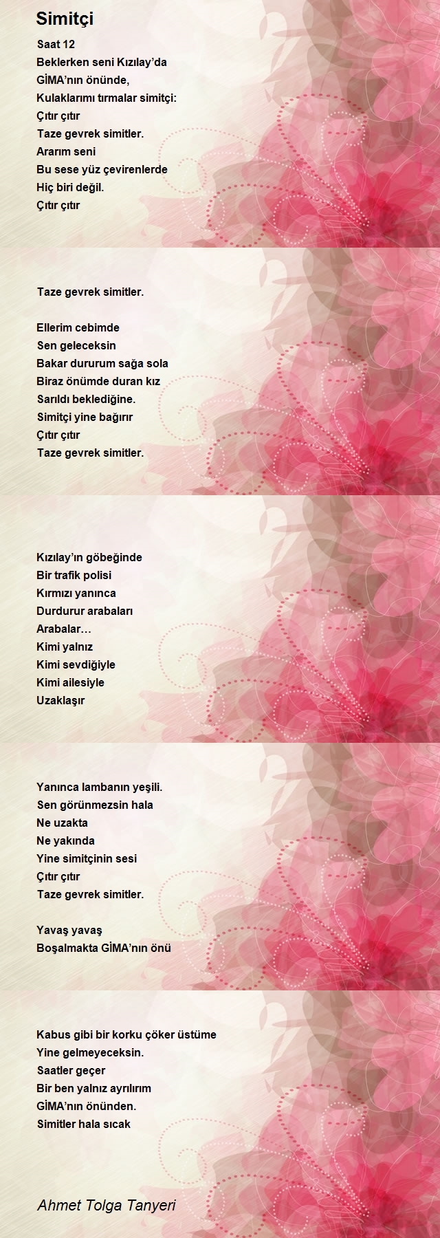 Ahmet Tolga Tanyeri