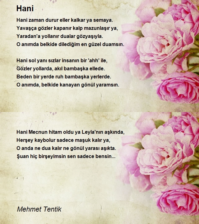 Mehmet Tentik
