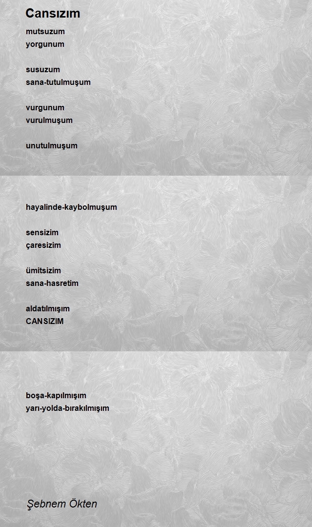 Şebnem Ökten