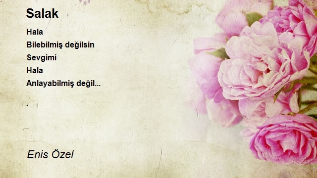 Enis Özel