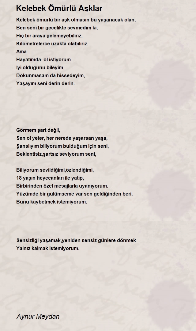 Aynur Meydan