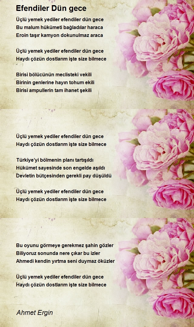 Ahmet Ergin
