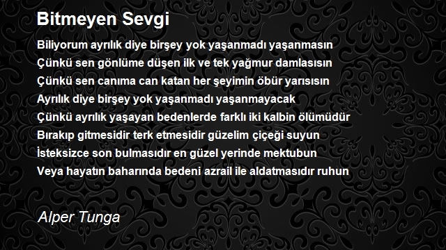 Alper Tunga