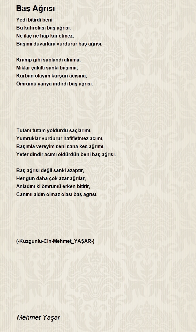 Mehmet Yaşar