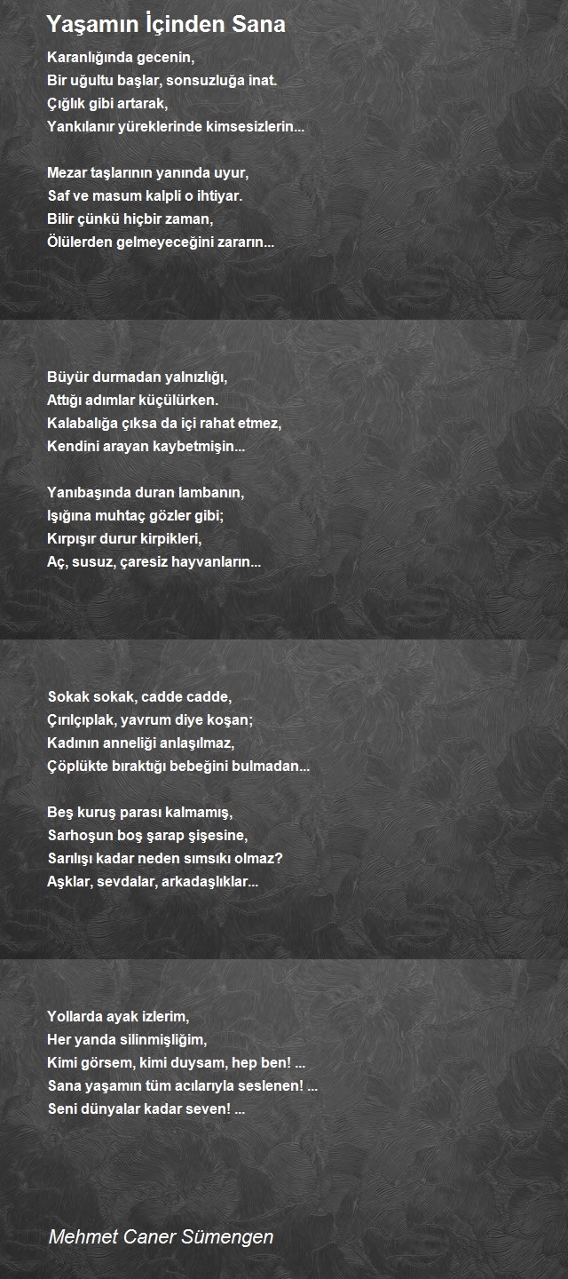 Mehmet Caner Sümengen