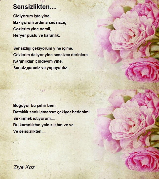 Ziya Koz