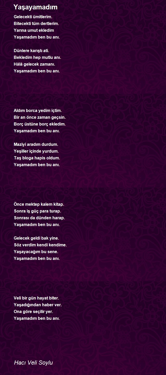 Hacı Veli Soylu