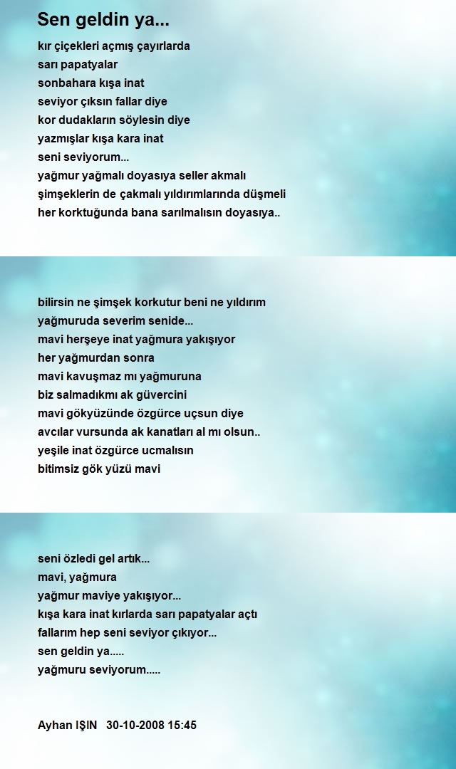 Ayhan Işın