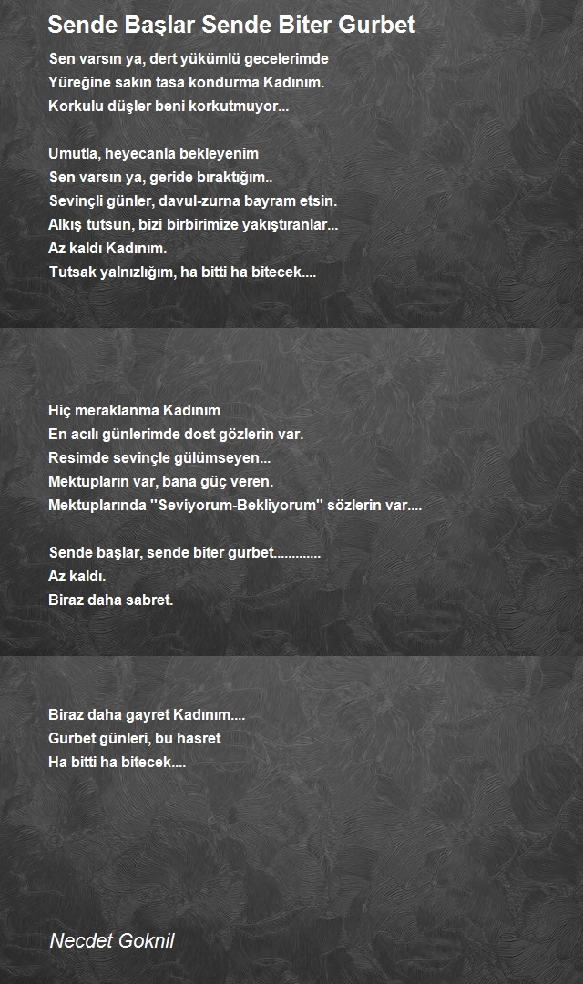 Necdet Goknil