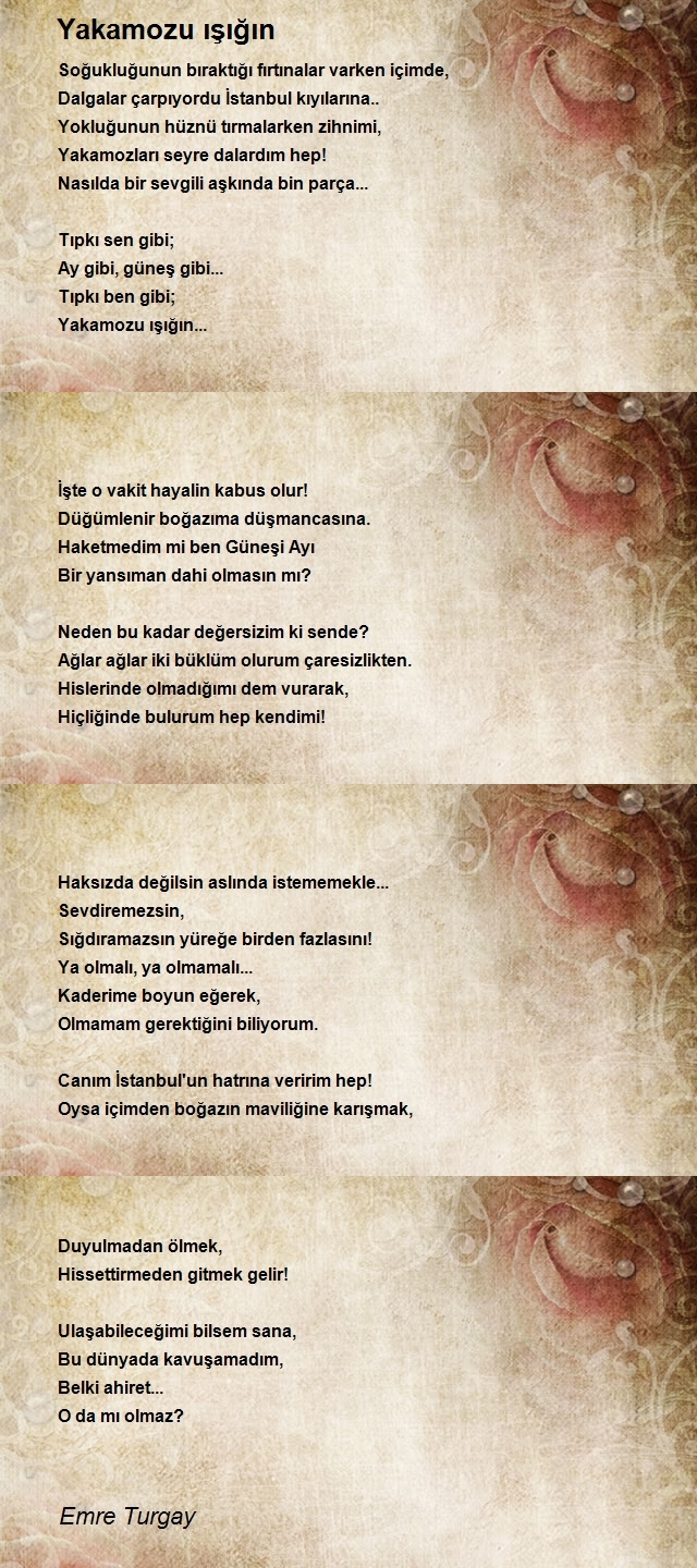 Emre Turgay