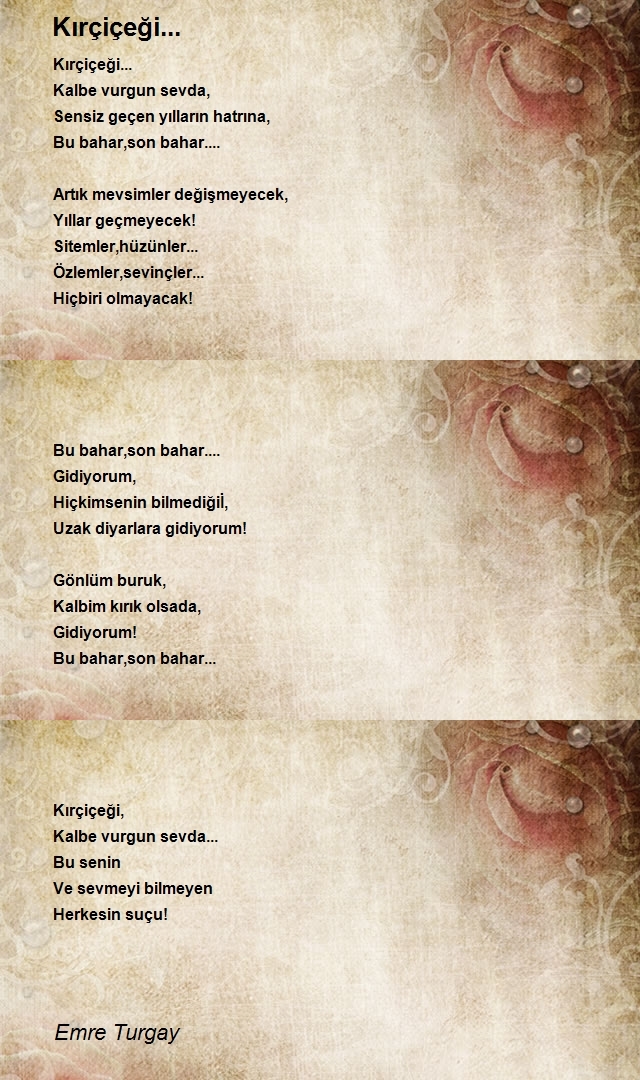Emre Turgay