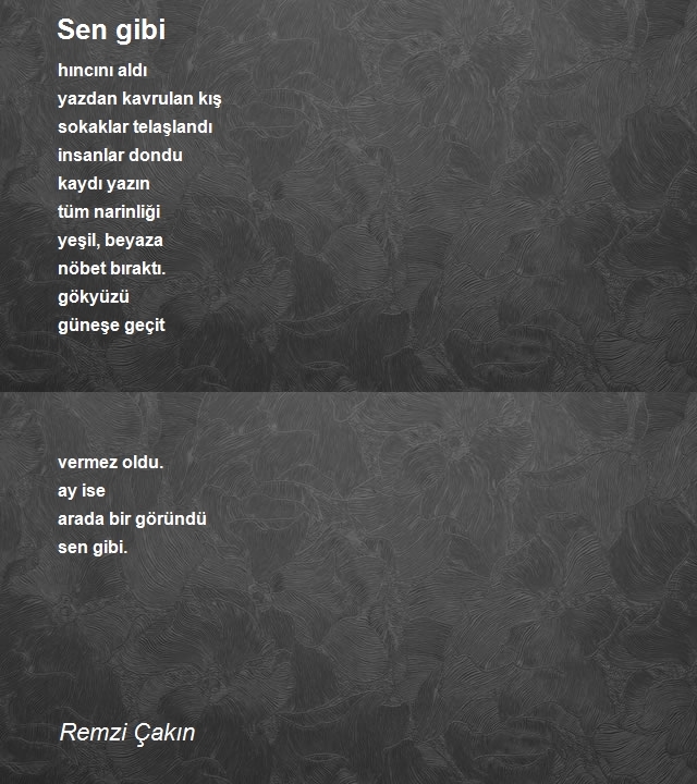Remzi Çakın