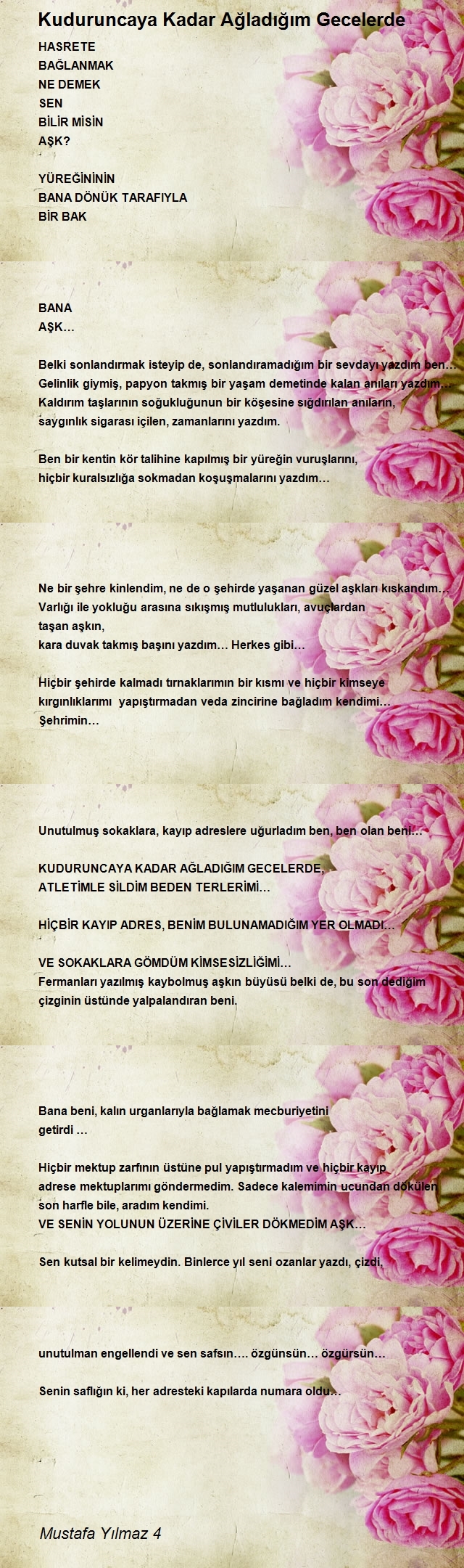 Mustafa Yılmaz 4
