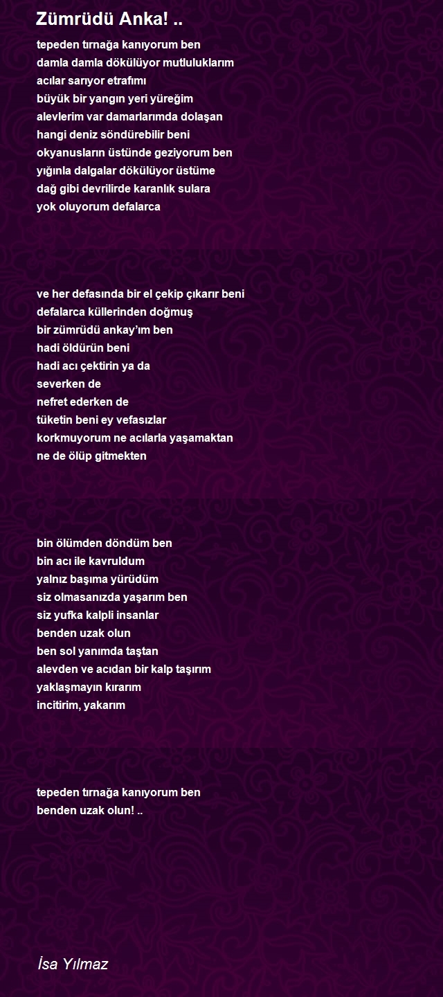 İsa Yılmaz