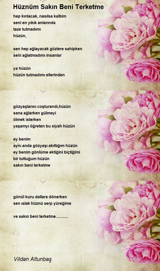 Vildan Altunbaş 