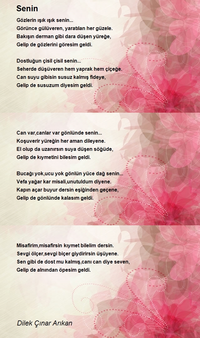 Dilek Çınar Arıkan