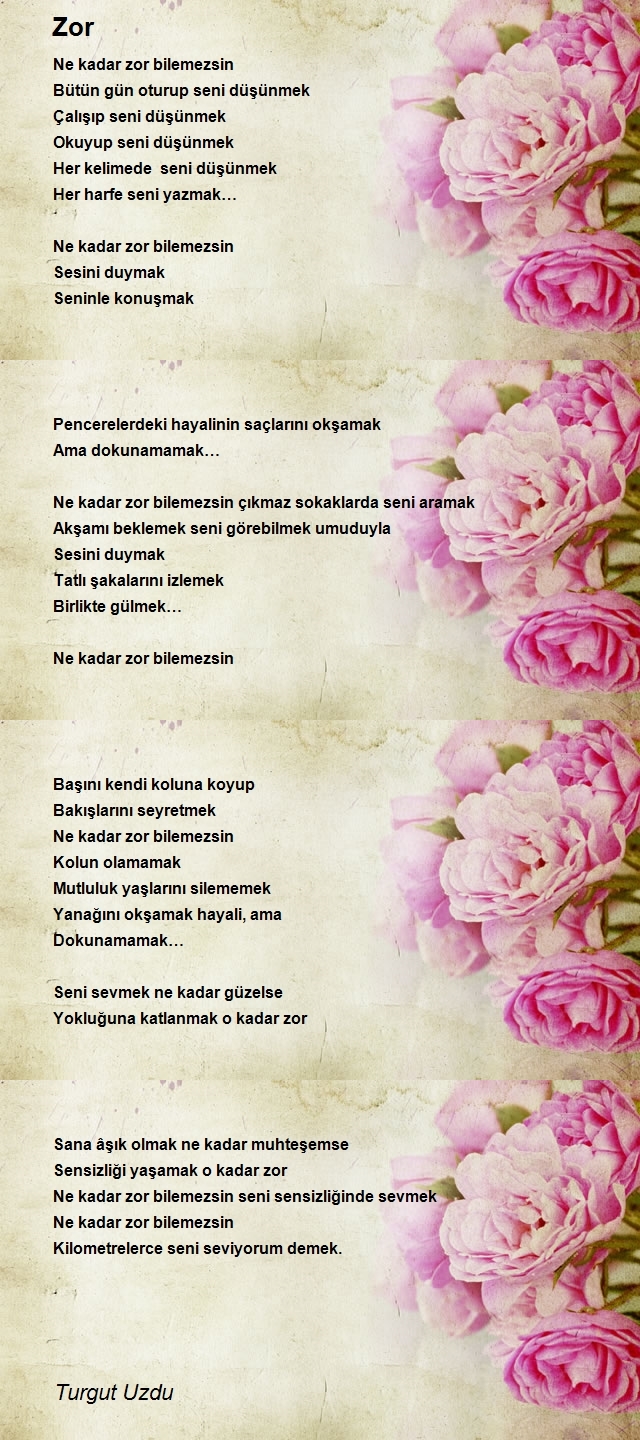 Turgut Uzdu