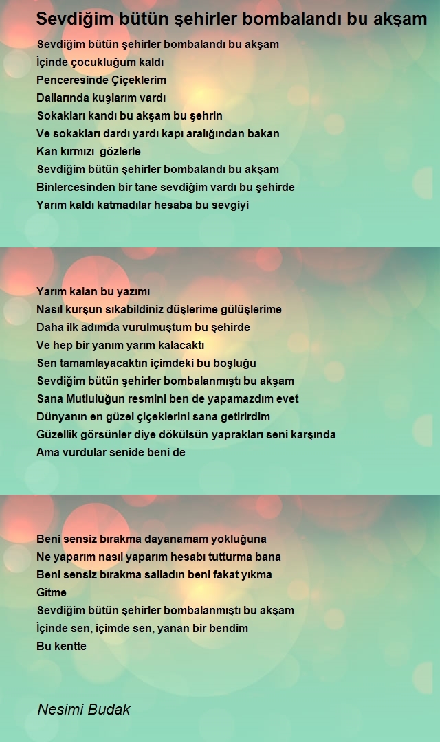 Nesimi Budak