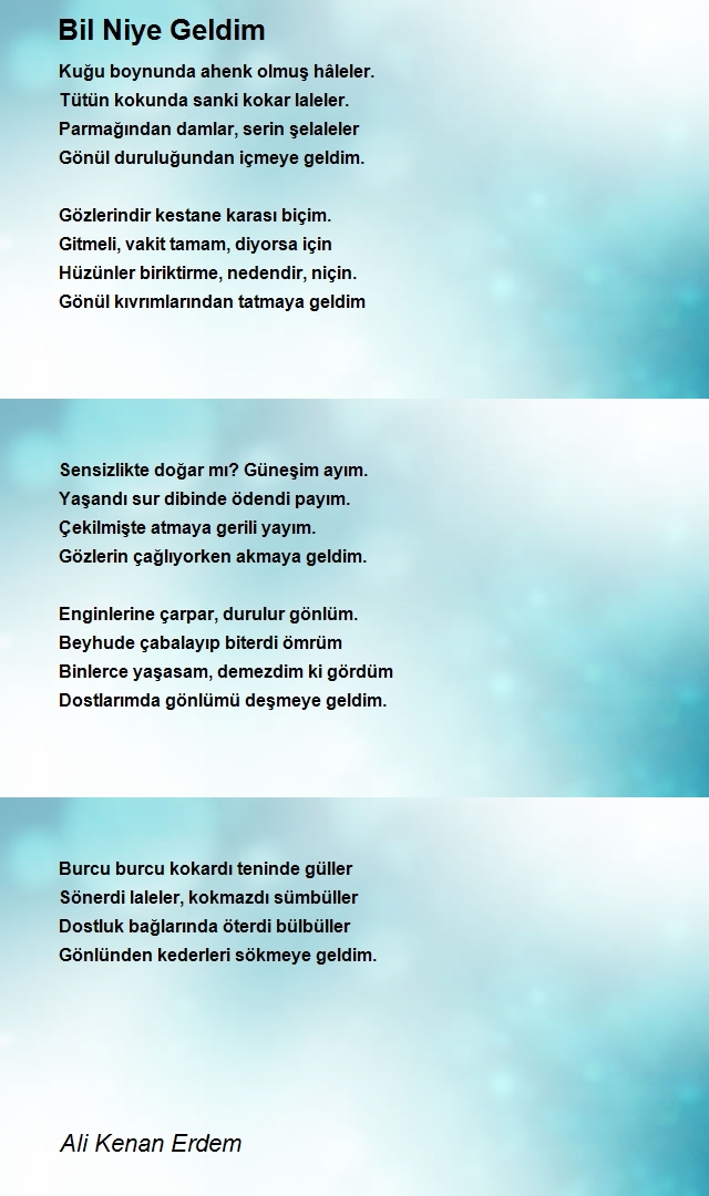Ali Kenan Erdem