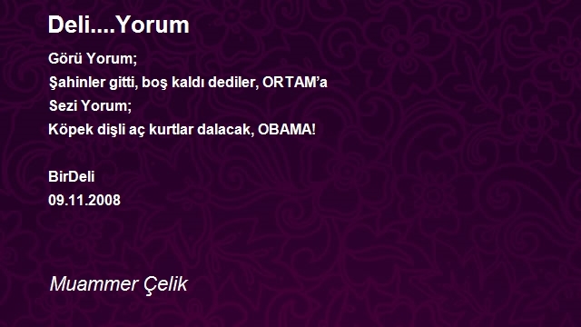 Muammer Çelik