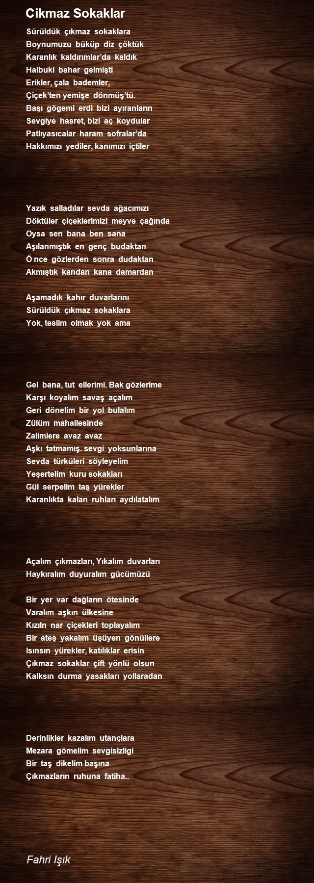Fahri Işık