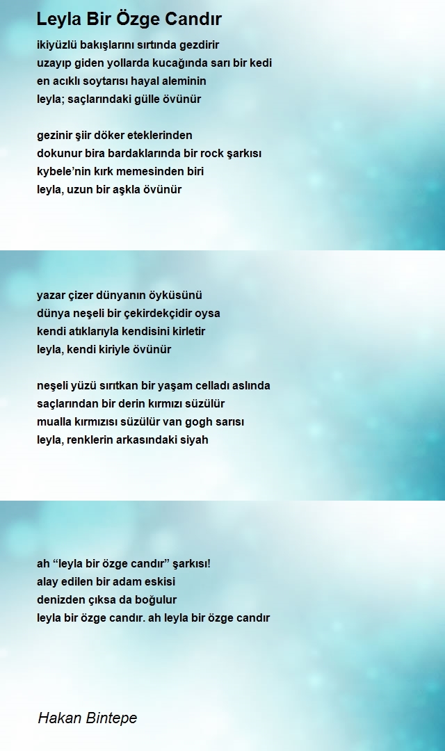 Hakan Bintepe