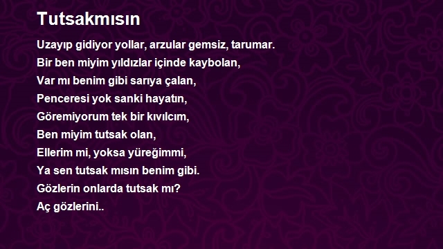 Selami Meriç
