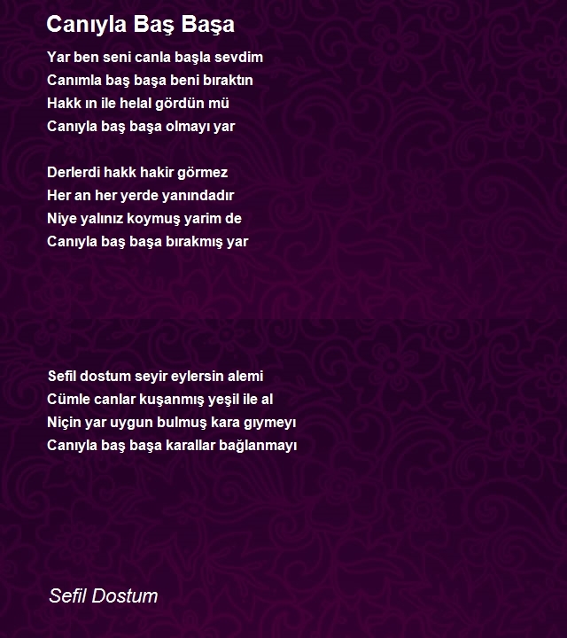 Sefil Dostum